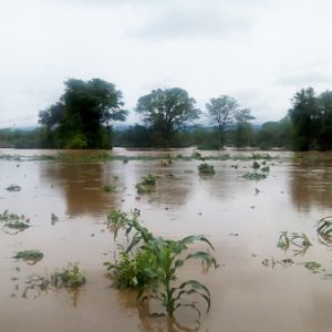 GPIC’s Disaster Response Fund in Action – Binga District, Zimbabwe